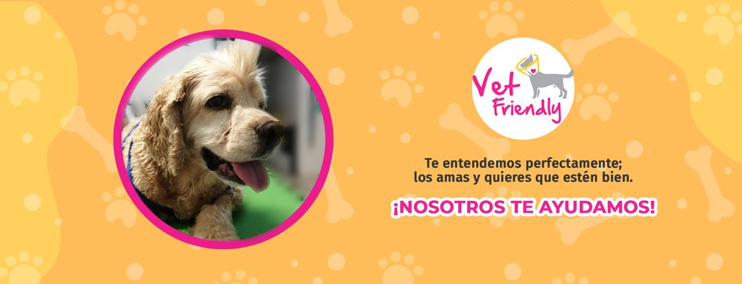 Veterinaria mexicali blvd anahuac vet friendly 3